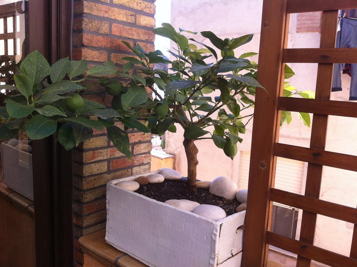 Guest House La Corte Normanna Sciacca Zewnętrze zdjęcie